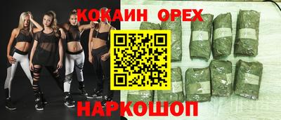 хмурый Кингисепп
