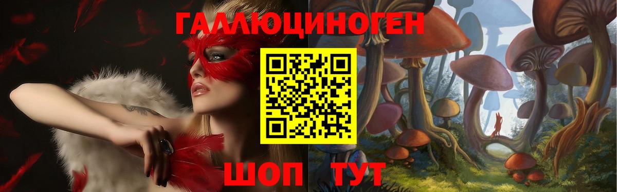 Галлюциногенные грибы прущие грибы  Вход с VPN  Кстово 